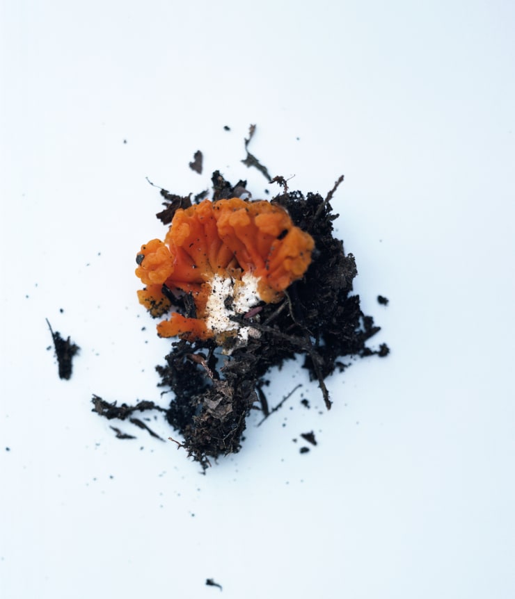 Takashi Homma Stony Point #15, 2017 C-type print 36 3/4 x 31 1/2 in 93.3 x 80 cm