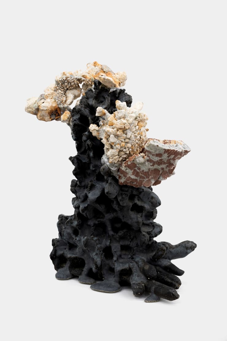 Satoru Hoshino & Masaomi Yasunaga 混成ー黴, 2025 glaze, kaolin, clay, Black clay, gray-black glaze, 釉薬, カオリン, 土, 黒土、灰黒釉 15 x 16 7/8 x 5 7/8 in 38 x 43 x 15 cm