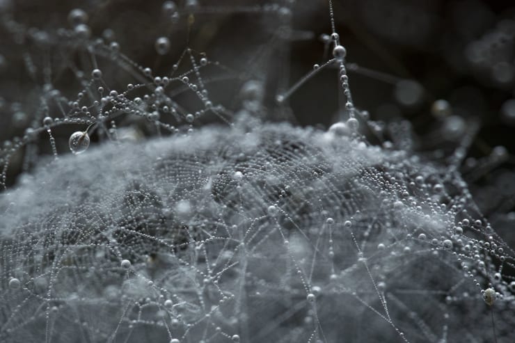 Kim Westcott, Cluster, 2021