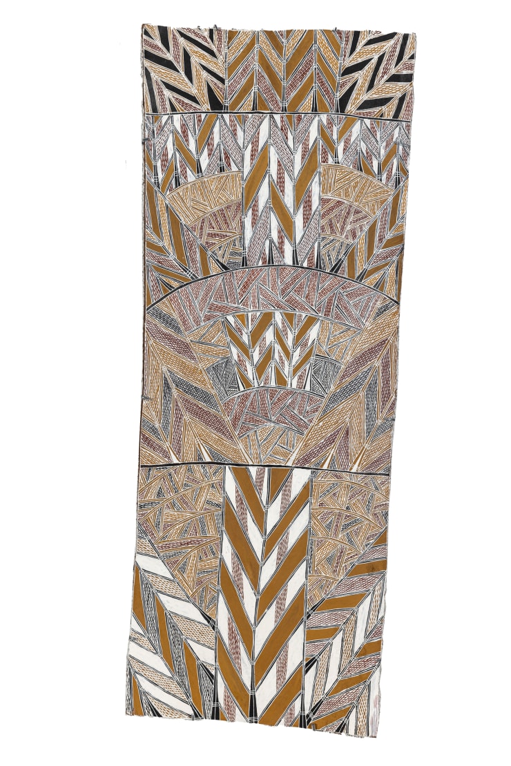 Dhuruputjpi, 2024 Earth pigments on Stringybark 125 x 49 cm