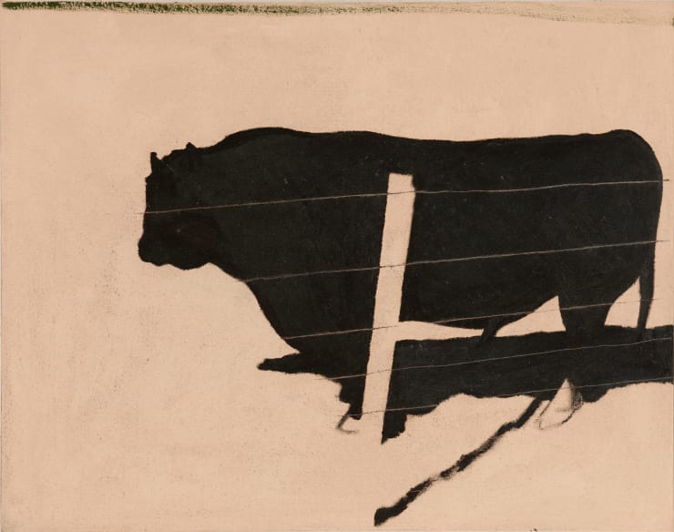 Tony Woods, Tasmanian Bull, 1979