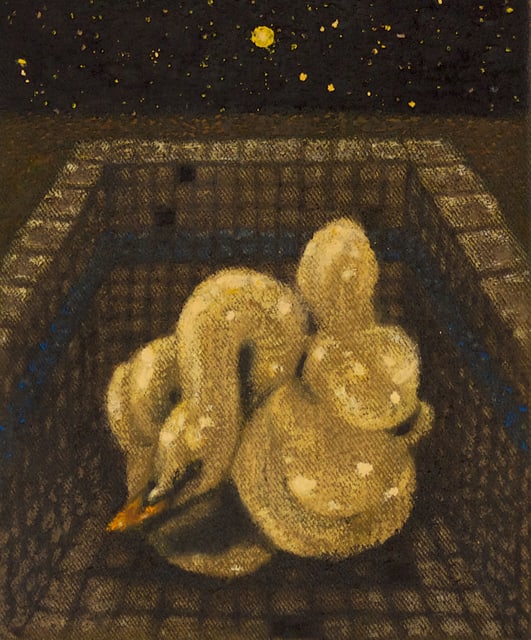 Pool Inflatable by Night