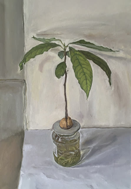 James Lloyd Avocado Plant, 2020 Oil on canvas 50.5 x 35.5 cm