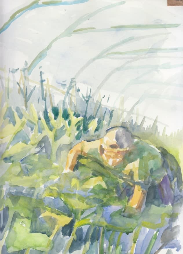 Andrea Picking Zucchini, Pignano