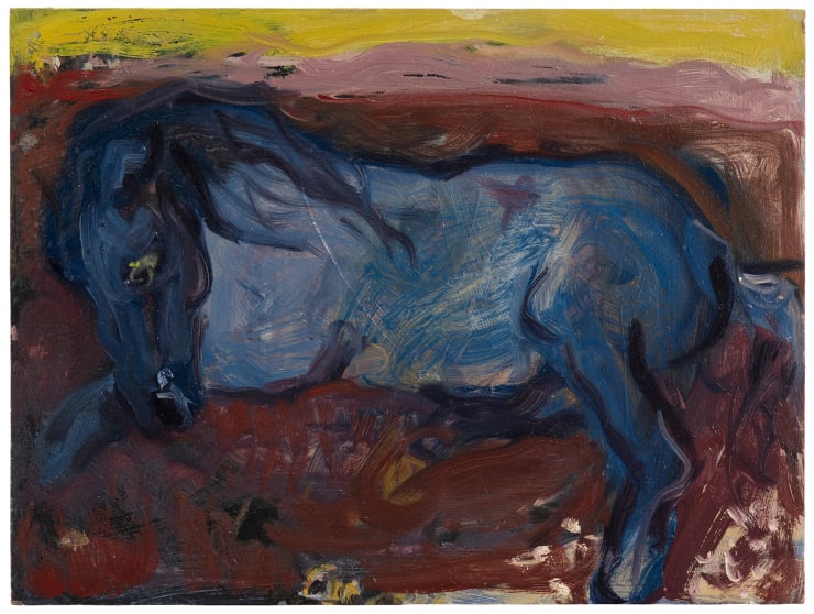 Blue Horse (After Bruce Davidson)