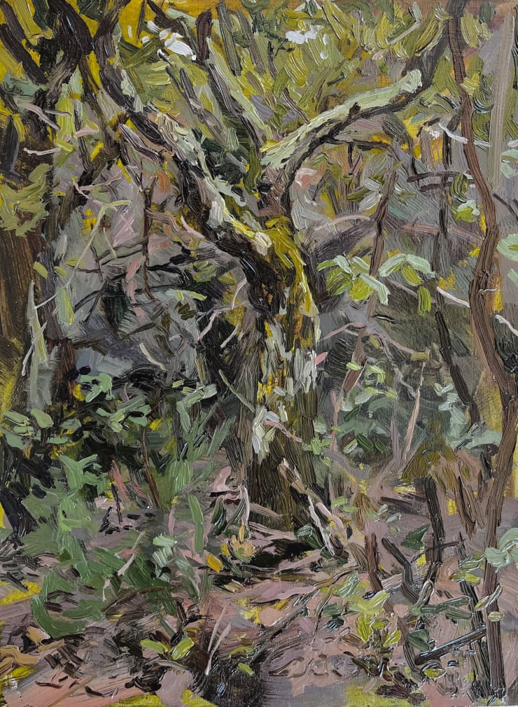 Tim Patrick, Albero, 2023