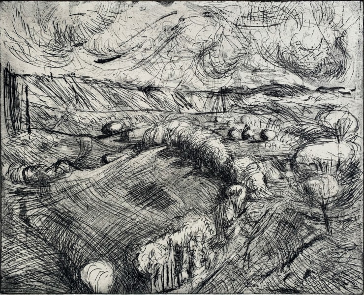 Trees Between Fields (near Saddlescombe)