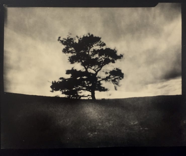 Revenge Moor, Staffordshire