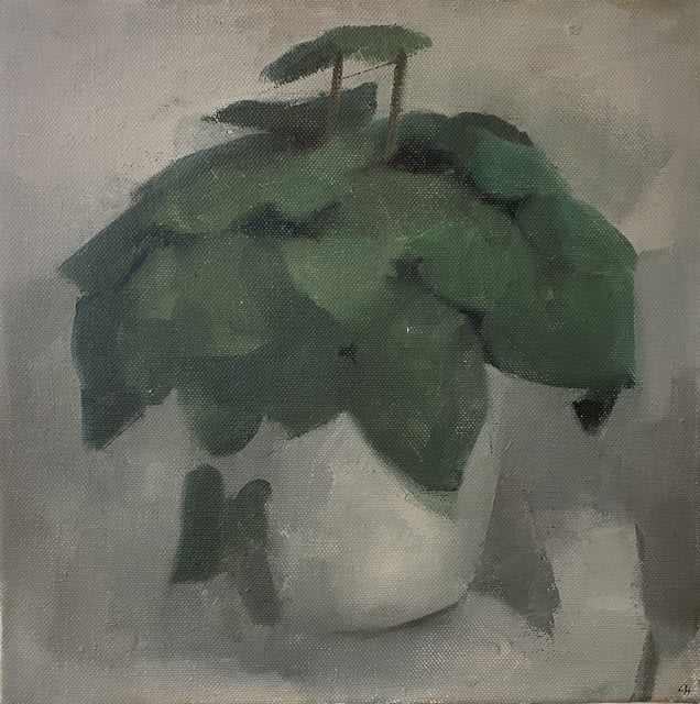 Clare Haward, Cyclamen I, 2020