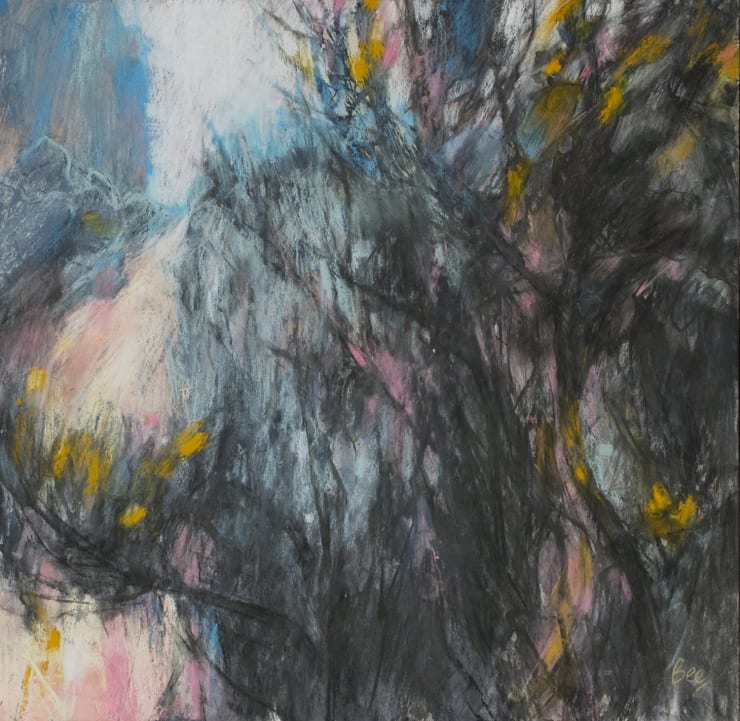 Gorse Thicket, Haldon Forest