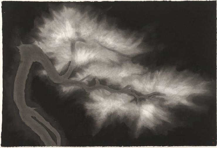 Huang Dan 黃丹, Fog 霧, 2017