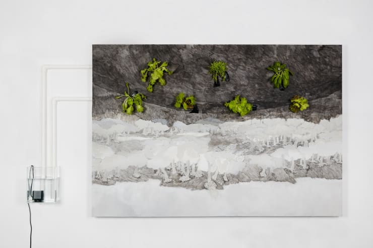 Halley Cheng 鄭哈雷, The Carnivorous Island 嚥人島, 2016