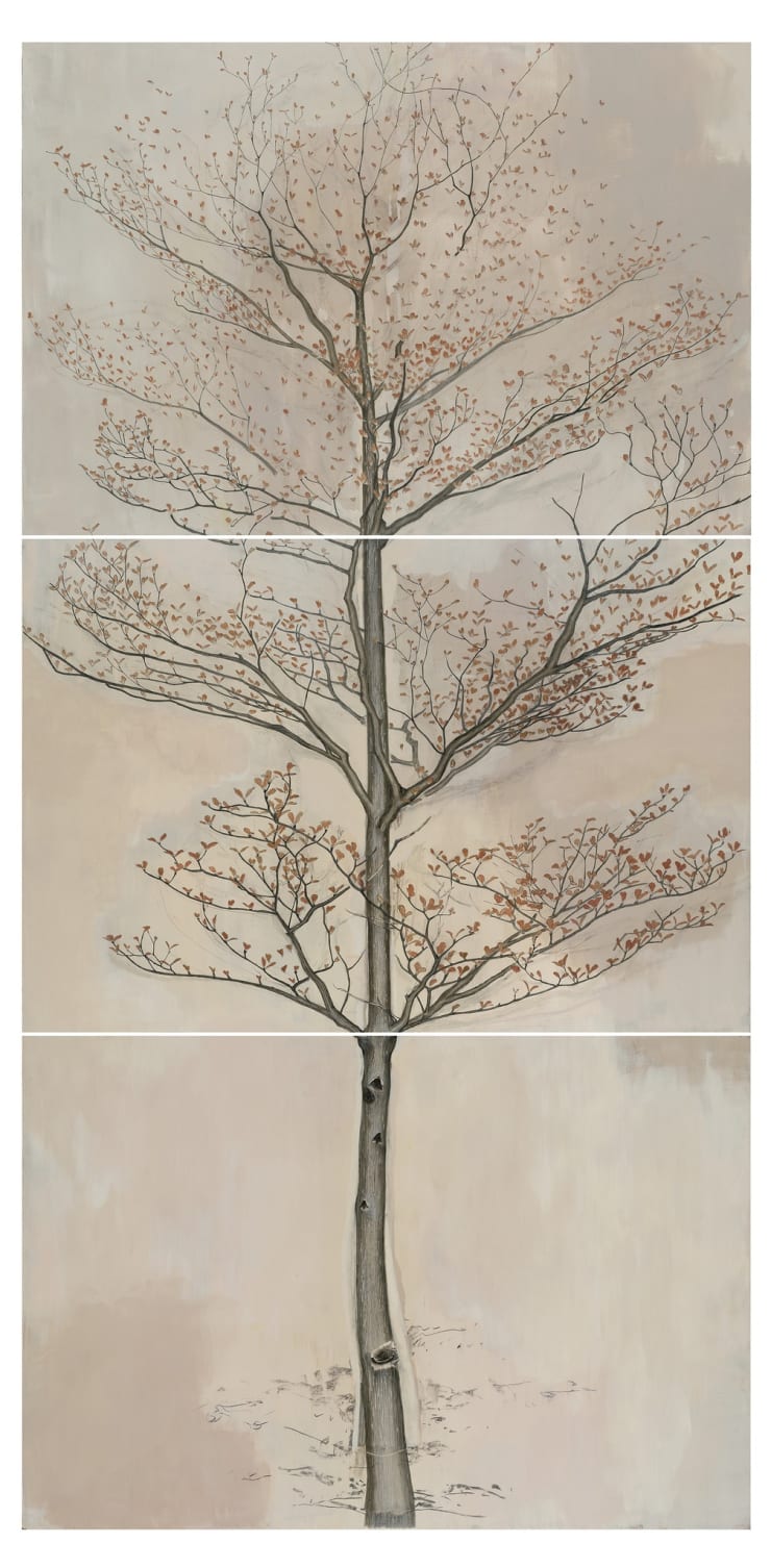 Cheng, Halley 鄭哈雷, A Tree Besides Block 21, Shek Kip Mei Estate, 2013