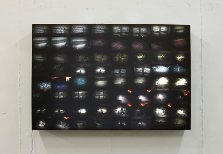 Halley Cheng 鄭哈雷, I Have Constrain Therefore I Project No.2 我有壓抑需要投射2號, 2015