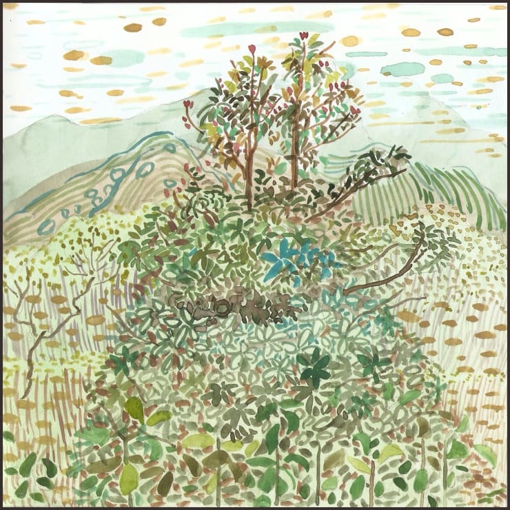 Wong, Stephen Chun Hei 黃進曦, A Dress-Liked Plant, 2013