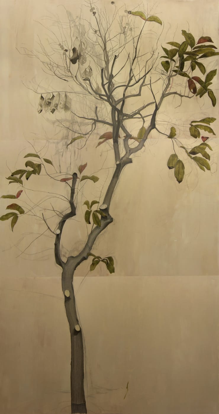 Cheng, Halley 鄭哈雷, A Tree in Lai Chi Kok Park, Stage 1, West Entrance, 2013
