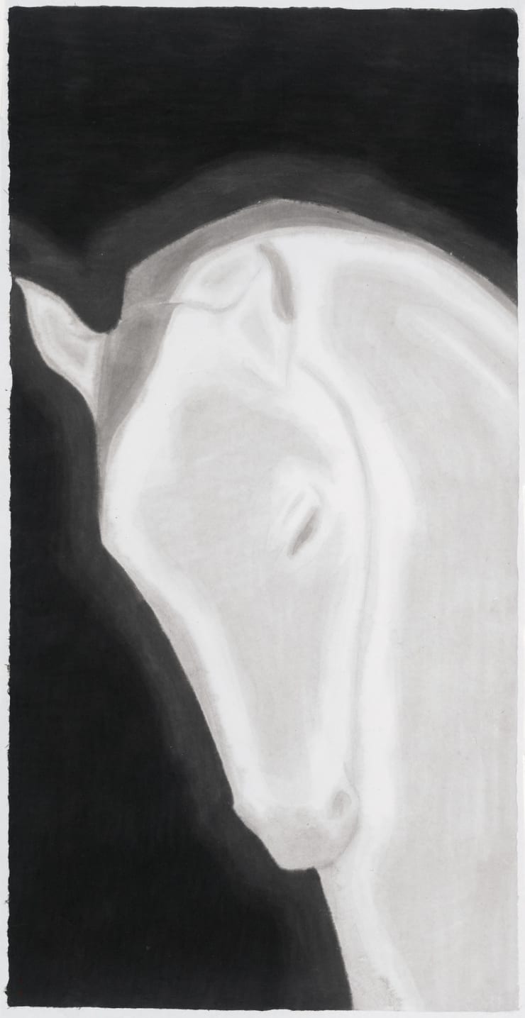 Huang Dan 黃丹, Attachment 眷戀, 2014