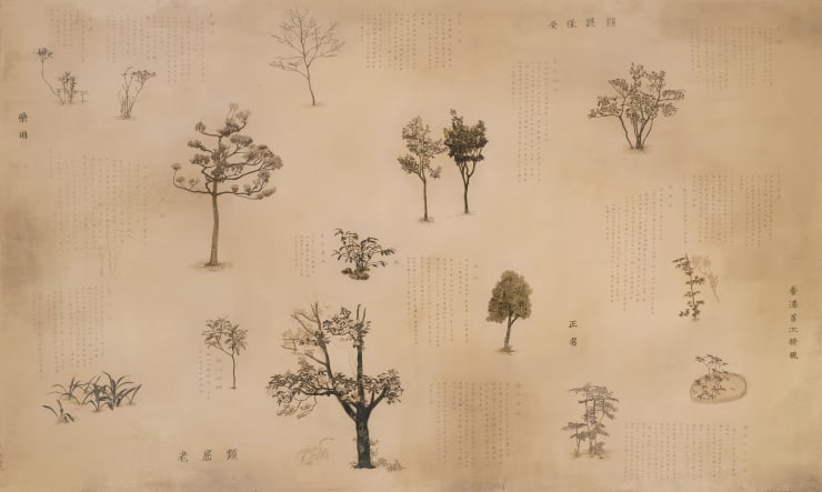 Cheng, Halley 鄭哈雷, Shing Mun Arboretum Encyclopedia , 2013