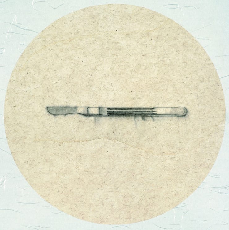 Zhang Yanzi 章燕紫, Registration (2) 掛號 (2), 2009-2013