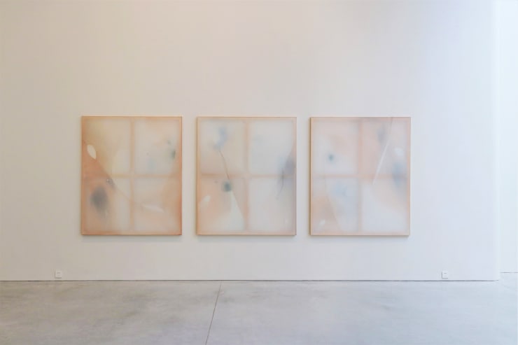 Guo-Liang Tan Peripheral Ritual I - III, 2018 Acrylic on aeronautical fabric, wood 163 x 408 cm