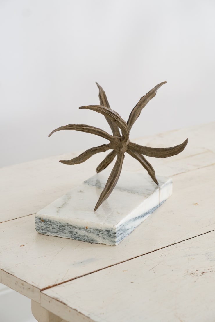 Jennifer Odem, Mallow Root, 2024