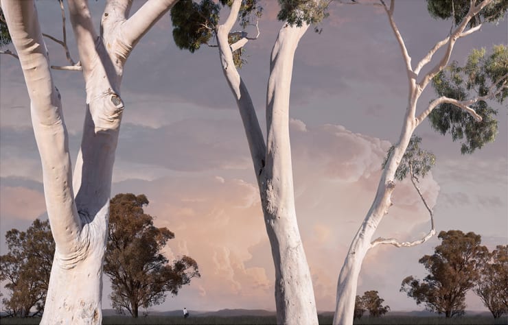 Lindsay Blamey, Belonging to Season