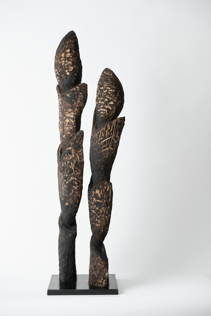 Joel Sorensen, Nocturne