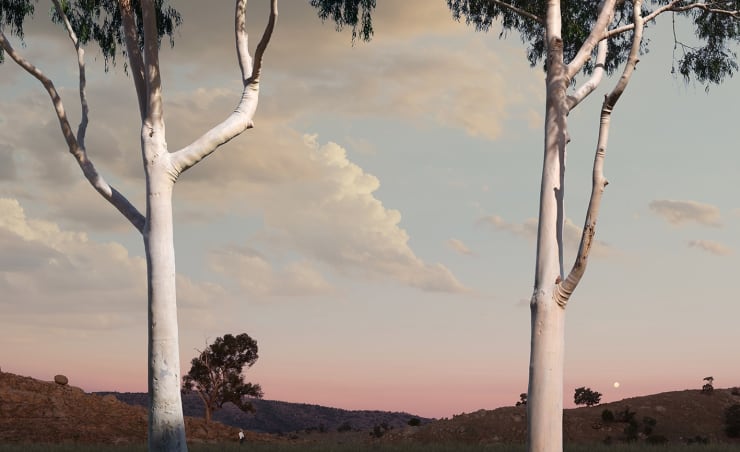 Lindsay Blamey, Moonrise Valley