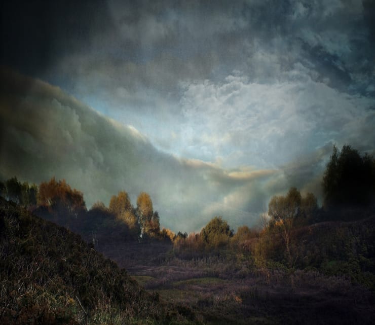 Sophia Szilagyi, Clearing