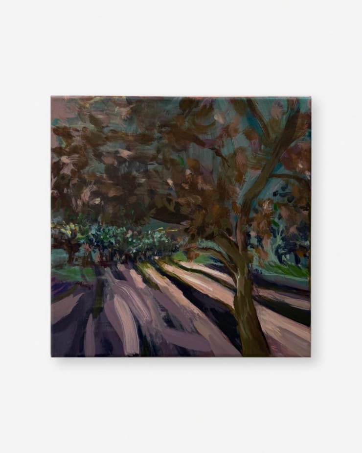 Kathryn Dolby, Long Shadow, Long Light