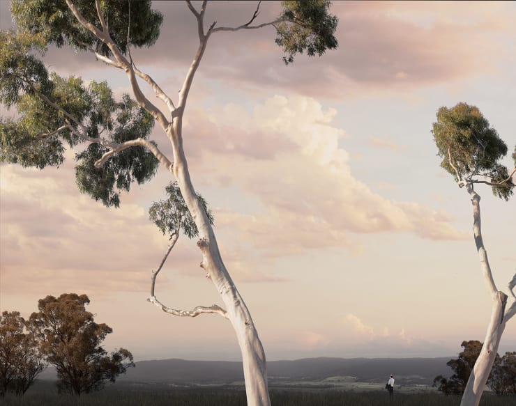 Lindsay Blamey, Silent Valley