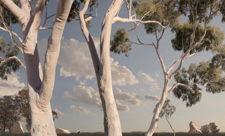 Lindsay Blamey, Three Sisters