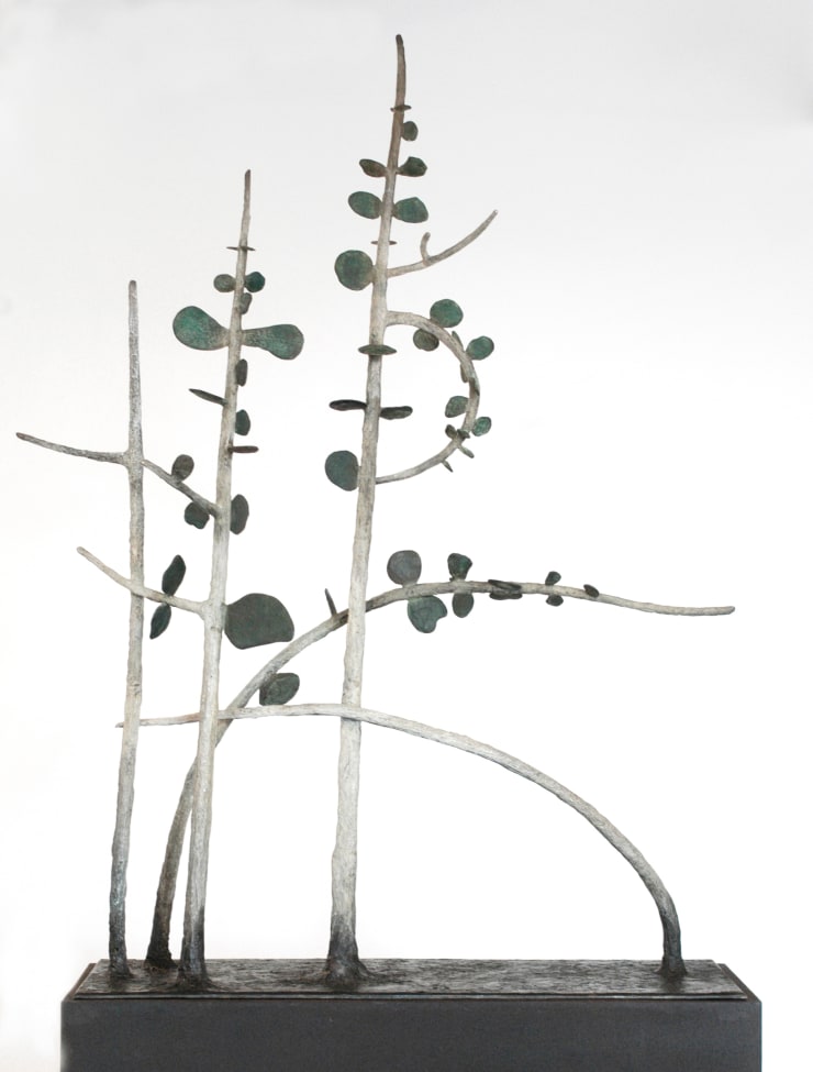 Zoe Amor, Red Box Bush