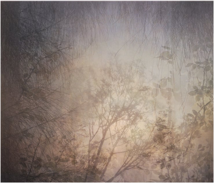 Sophia Szilagyi, Safe II