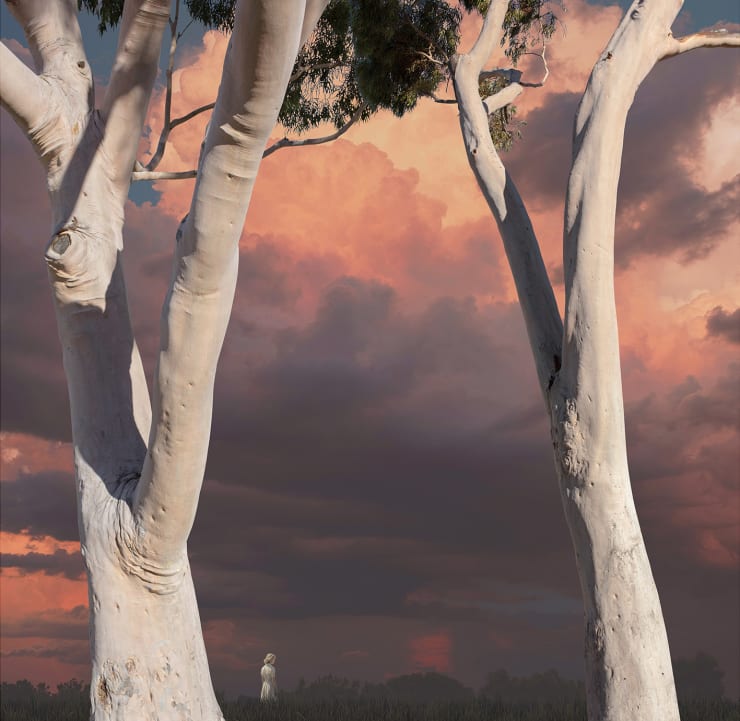 Lindsay Blamey, Awakening