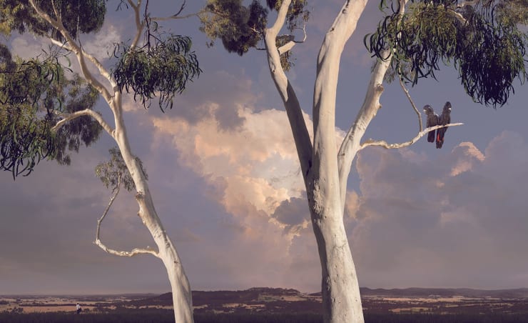 Lindsay Blamey, Awaited Valley