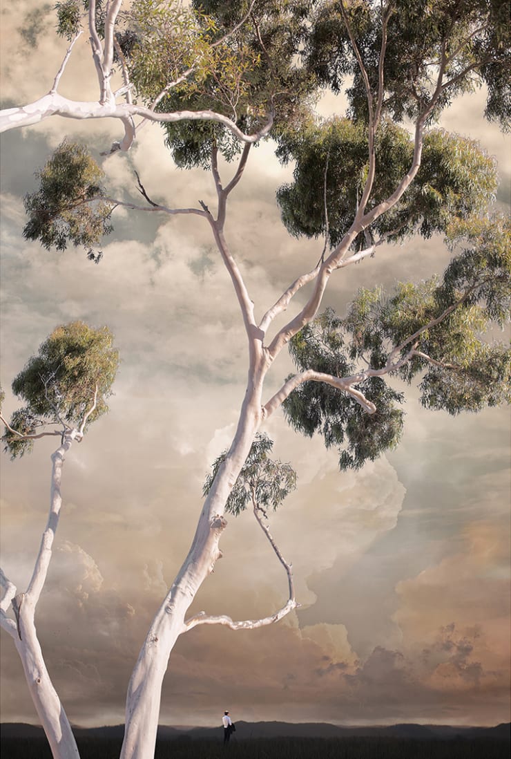 Lindsay Blamey, Forecast