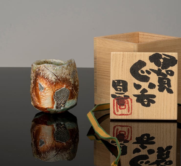 Fujioka Shuhei, Iga Gunomi, c.2002