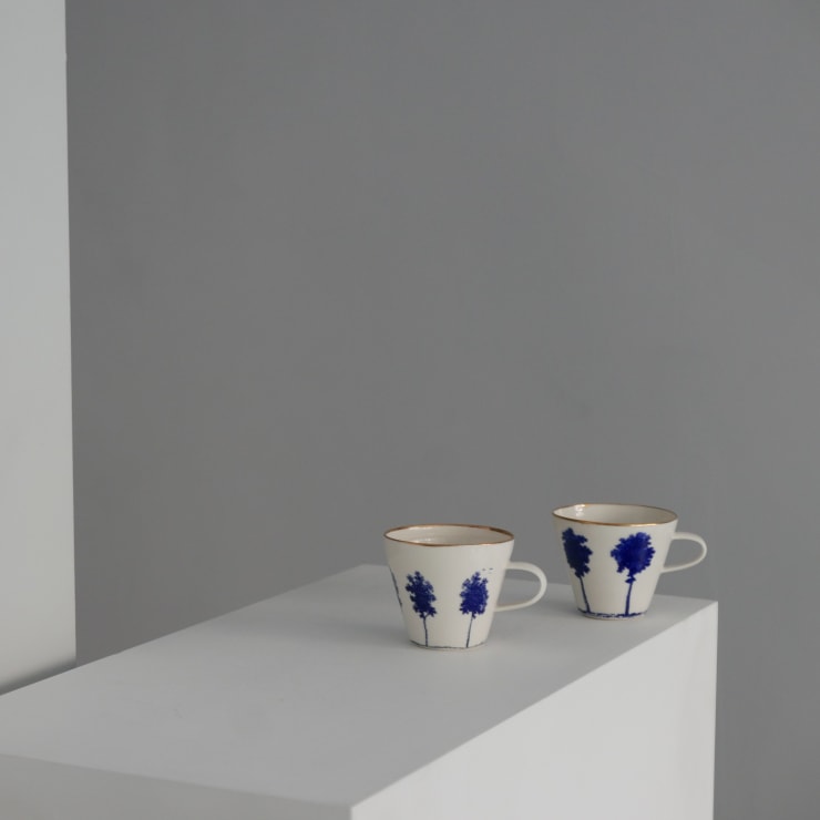 Paul Scott, Cup