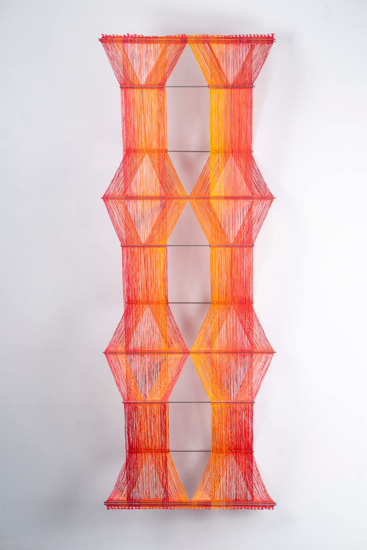 Peter Collingwood, Macrogauze N 3D 6