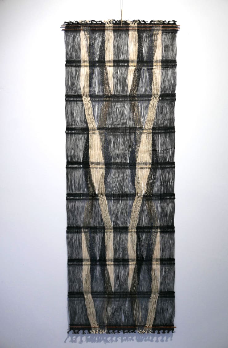 Peter Collingwood, 2-D Macrogauze
