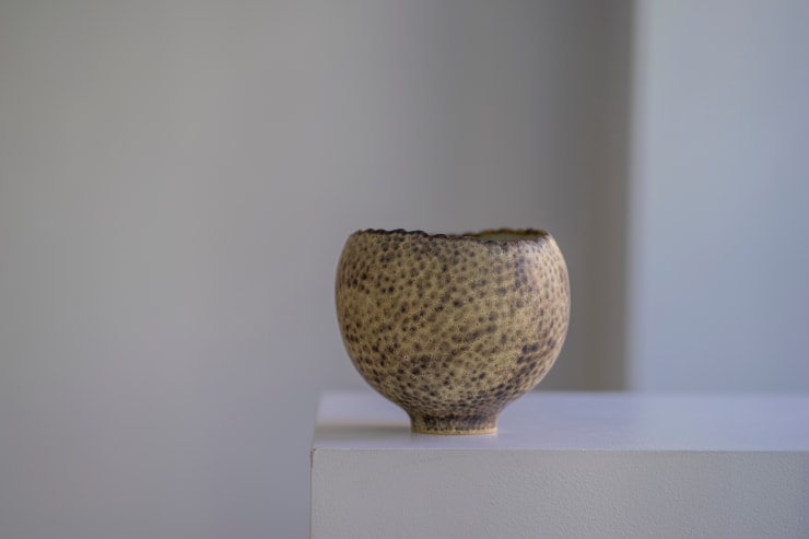 Mary Rogers, Bowl
