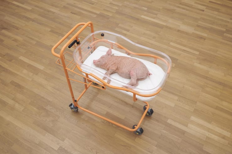 Anouk Lamm Anouk, MOTHER N°1