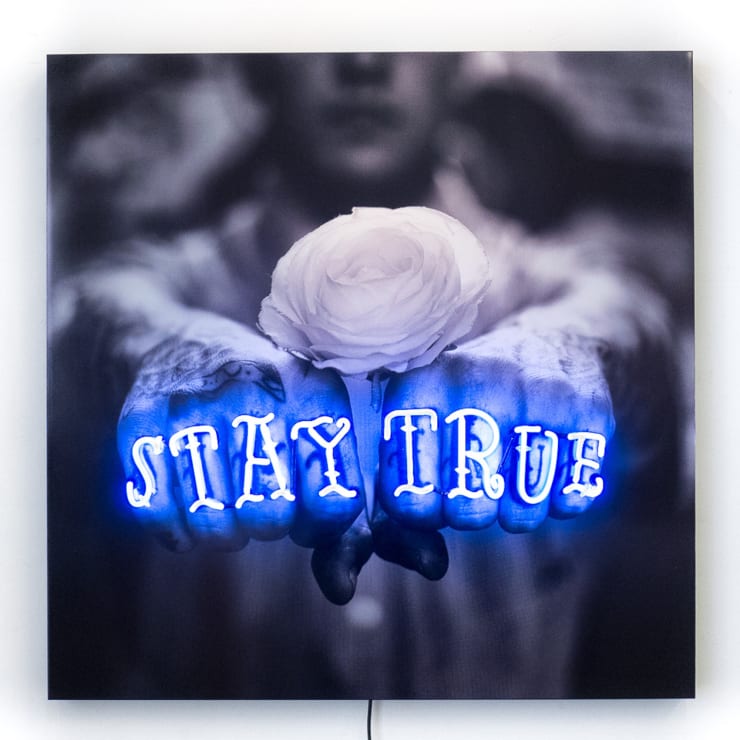Stuart Robertson, STAY TRUE
