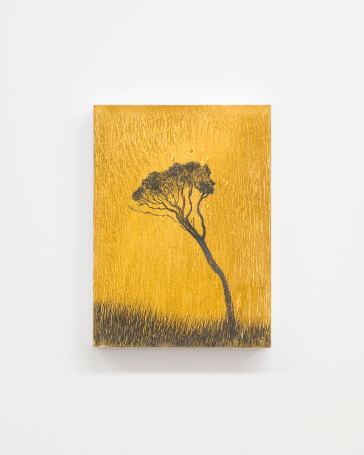Aroha Gossage, Pōhutukawa, 2024