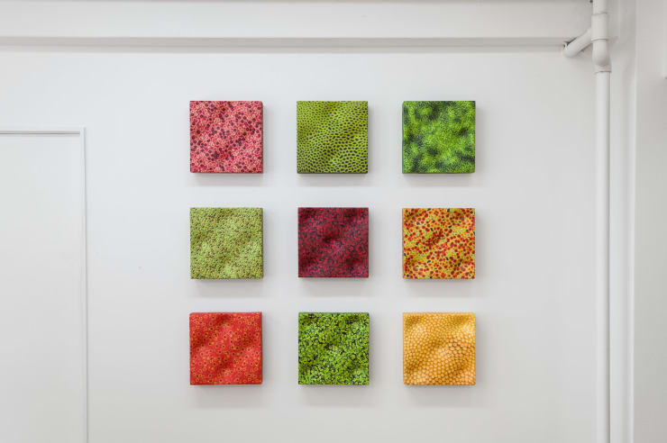 Elizabeth THOMSON, Inner Raoul, 2011