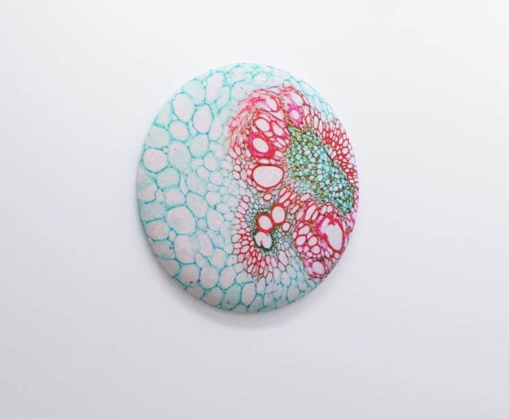 Elizabeth THOMSON, Savage Planet / Lateral Theory, 2019