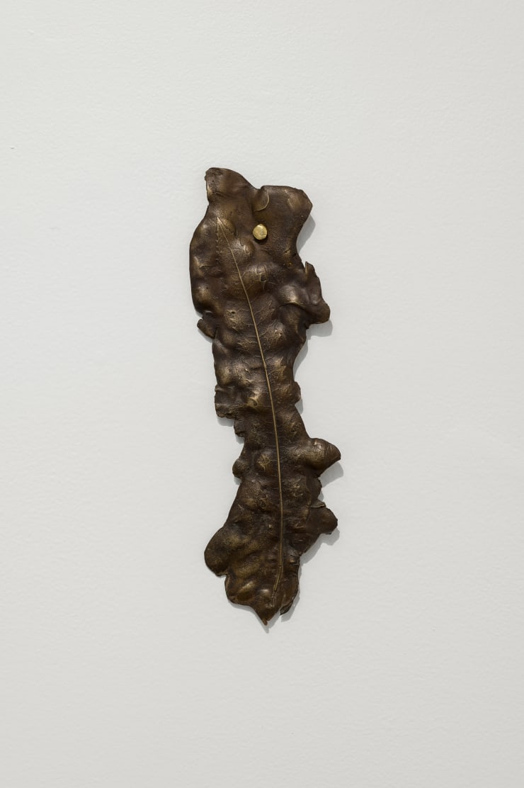 Hannah Valentine, Rewarewa, 2024