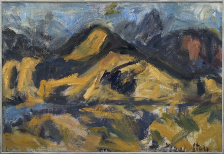 Toss Woollaston, Mount Malita, 1992