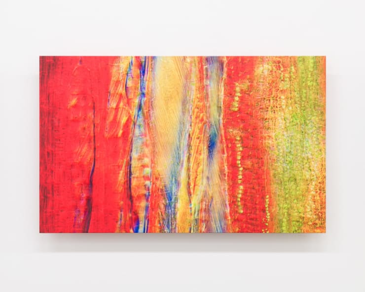 Elizabeth THOMSON, Koromiko Road Tropicana, 2024